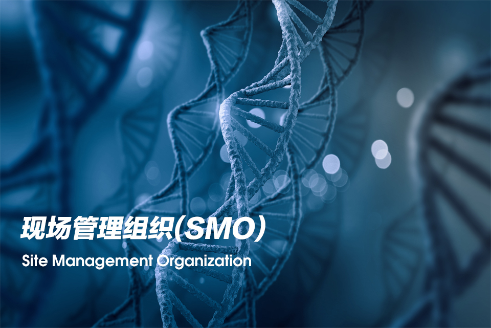 现场管理组织（Site Management Organization，，，SMO）